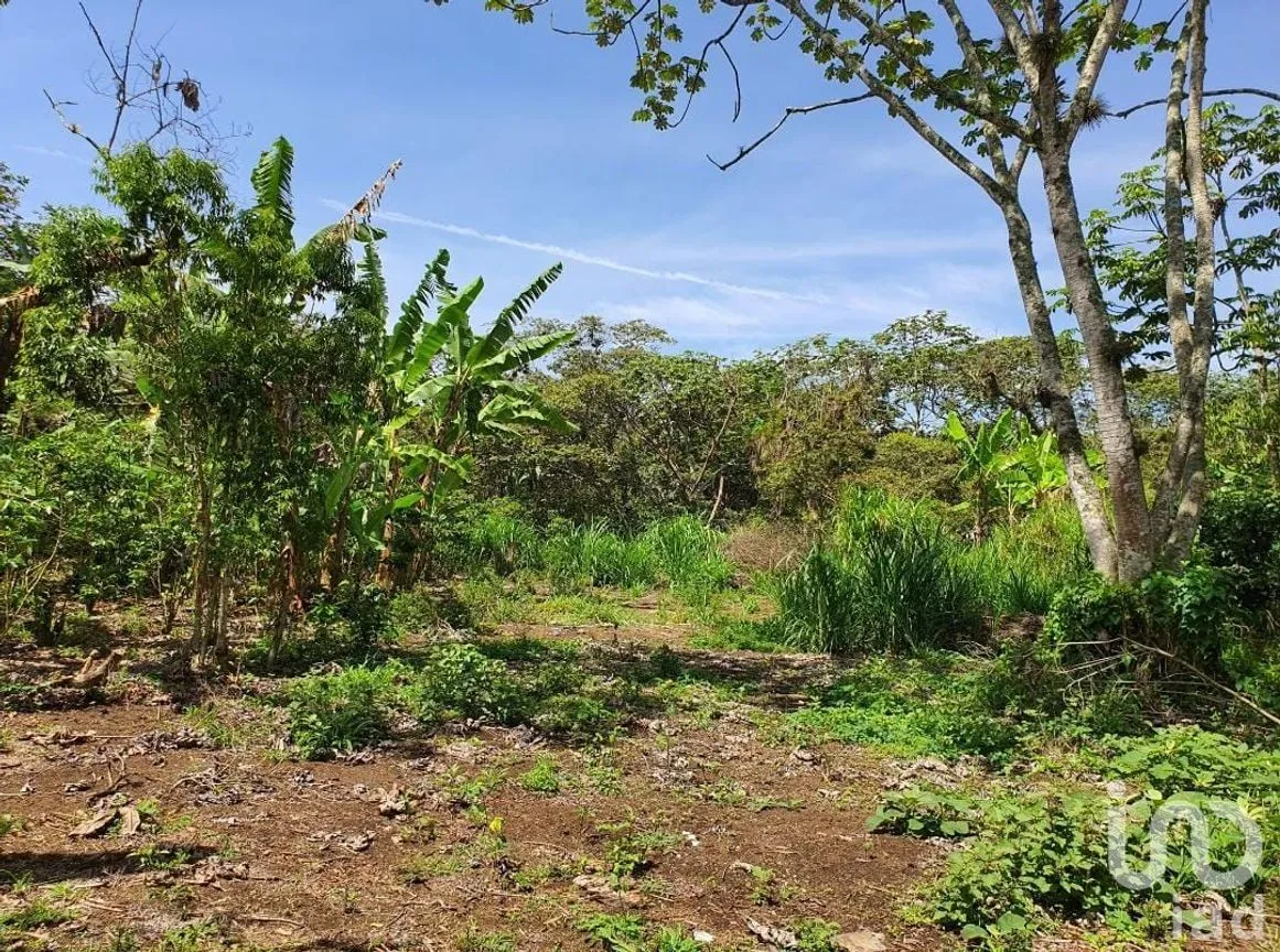 Terreno en Venta en San Marcos de León (San Marcos), Xico, Veracruz de Ignacio de la Llave | NEX-151975 | iad México | Foto 6 de 9
