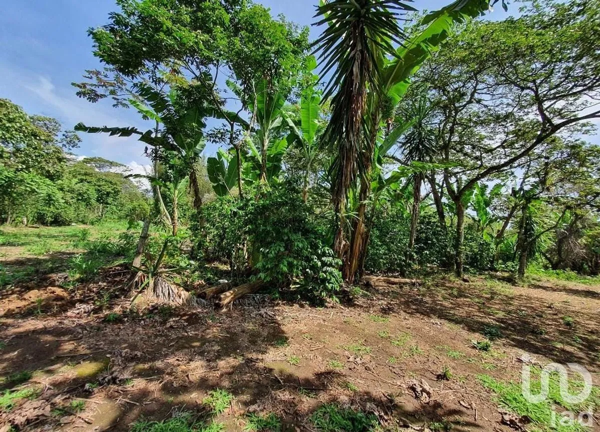 Terreno en Venta en San Marcos de León (San Marcos), Xico, Veracruz de Ignacio de la Llave | NEX-151975 | iad México | Foto 7 de 9