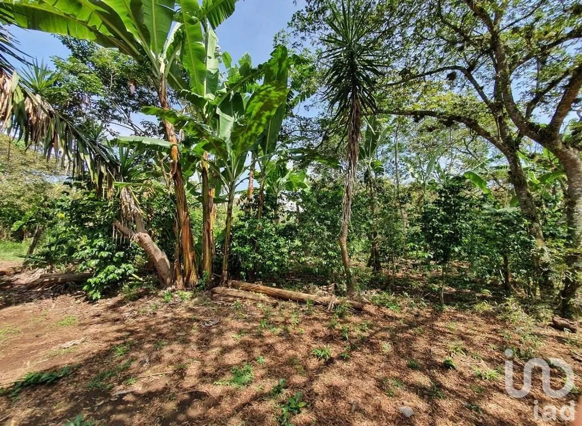 Terreno en Venta en San Marcos de León (San Marcos), Xico, Veracruz de Ignacio de la Llave | NEX-151975 | iad México | Foto 8 de 9