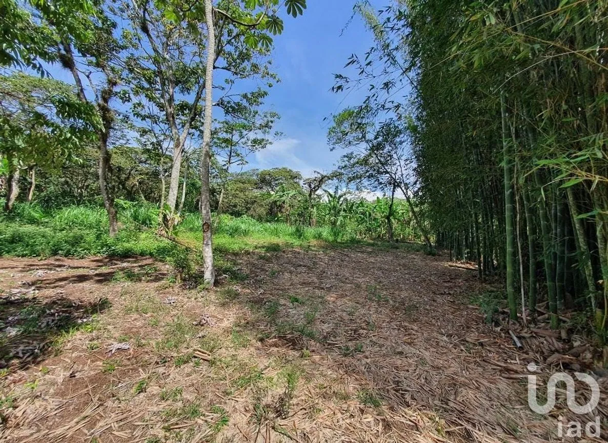 Terreno en Venta en San Marcos de León (San Marcos), Xico, Veracruz de Ignacio de la Llave | NEX-151976 | iad México | Foto 3 de 12