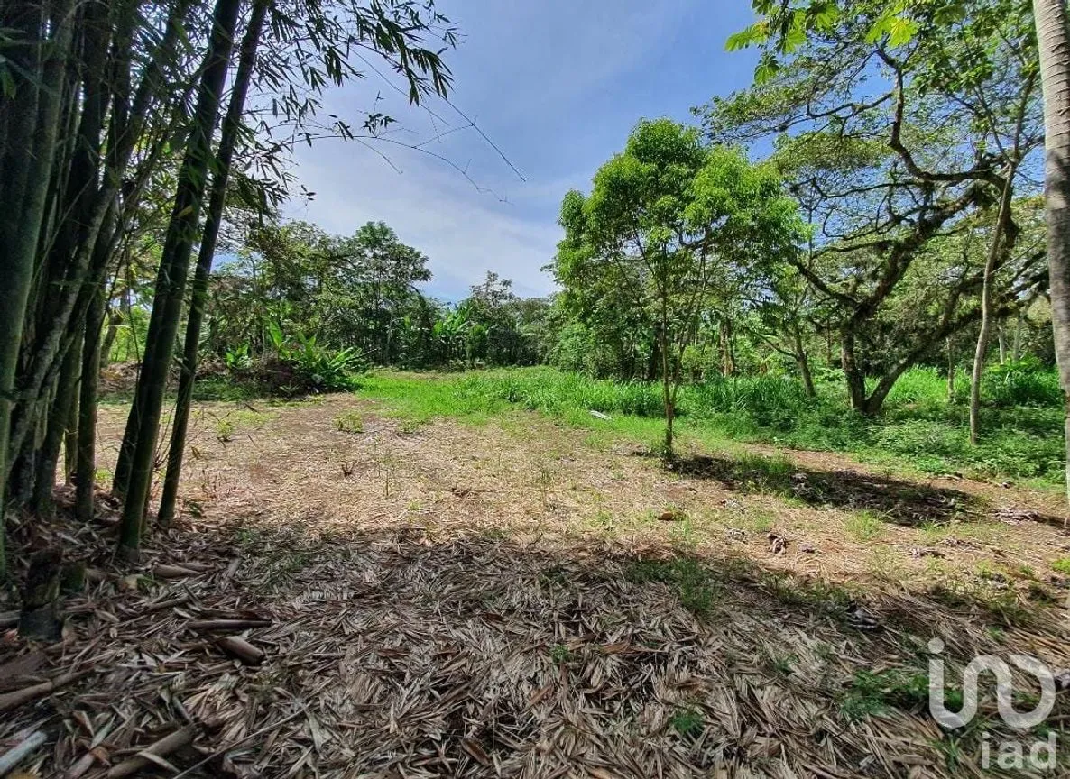 Terreno en Venta en San Marcos de León (San Marcos), Xico, Veracruz de Ignacio de la Llave | NEX-151976 | iad México | Foto 7 de 12