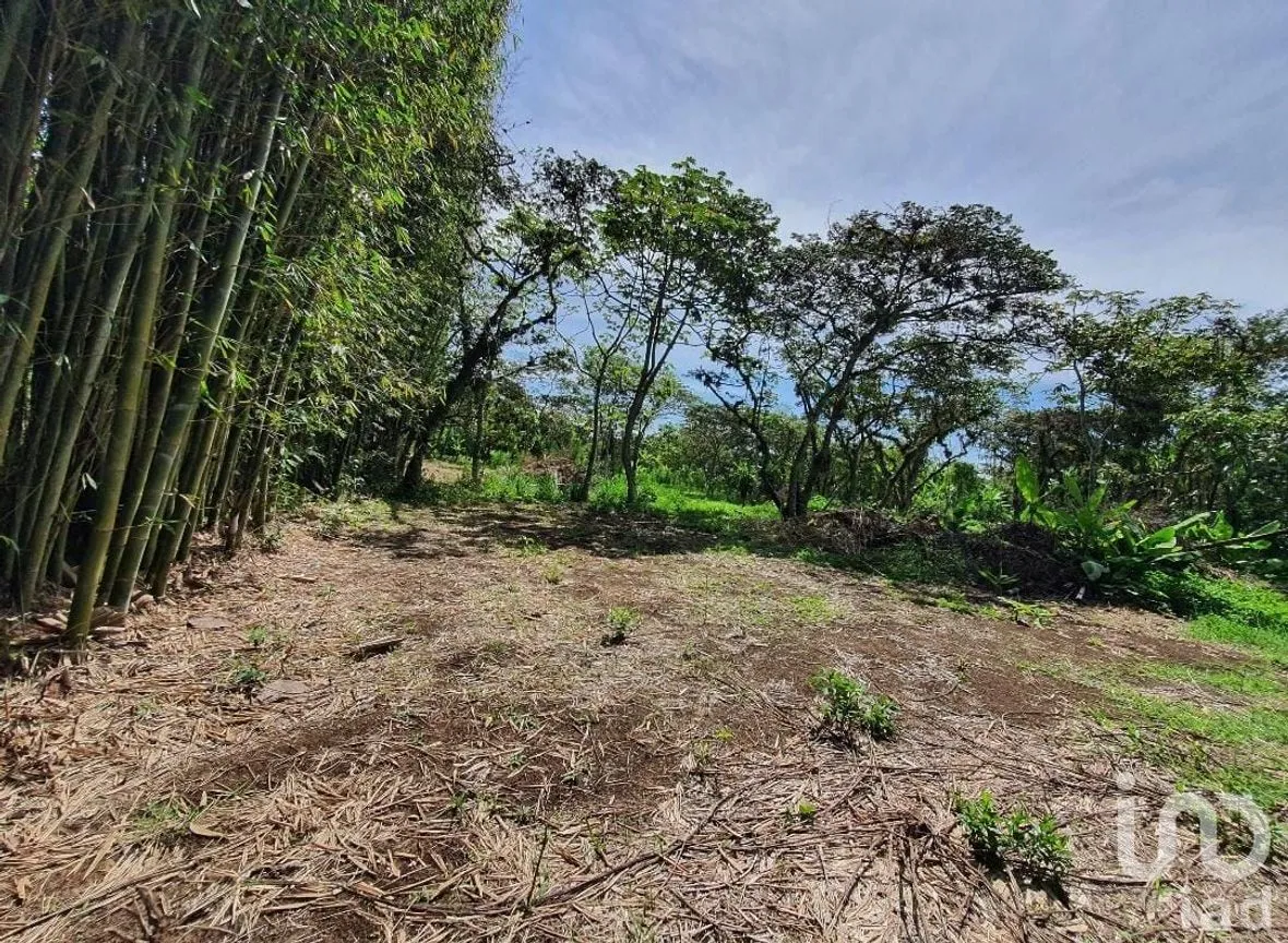 Terreno en Venta en San Marcos de León (San Marcos), Xico, Veracruz de Ignacio de la Llave | NEX-151976 | iad México | Foto 8 de 12