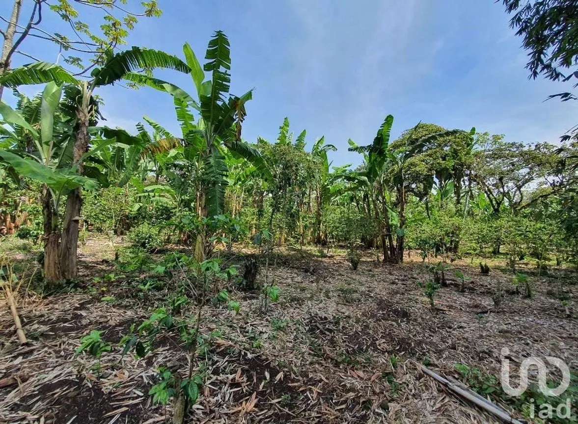 Terreno en Venta en San Marcos de León (San Marcos), Xico, Veracruz de Ignacio de la Llave | NEX-151976 | iad México | Foto 9 de 12