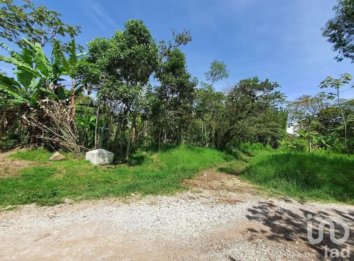 Terreno en Venta en San Marcos de León (San Marcos), Xico, Veracruz de Ignacio de la Llave | NEX-151976 | iad México | Foto 10 de 12