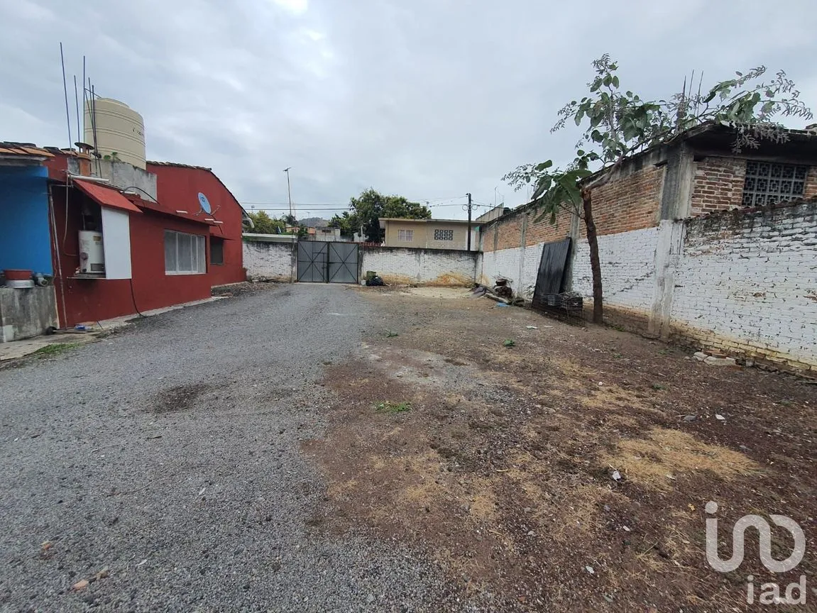 Terreno en Renta en Actopan Centro, Actopan, Veracruz de Ignacio de la Llave | NEX-164445 | iad México | Foto 2 de 5
