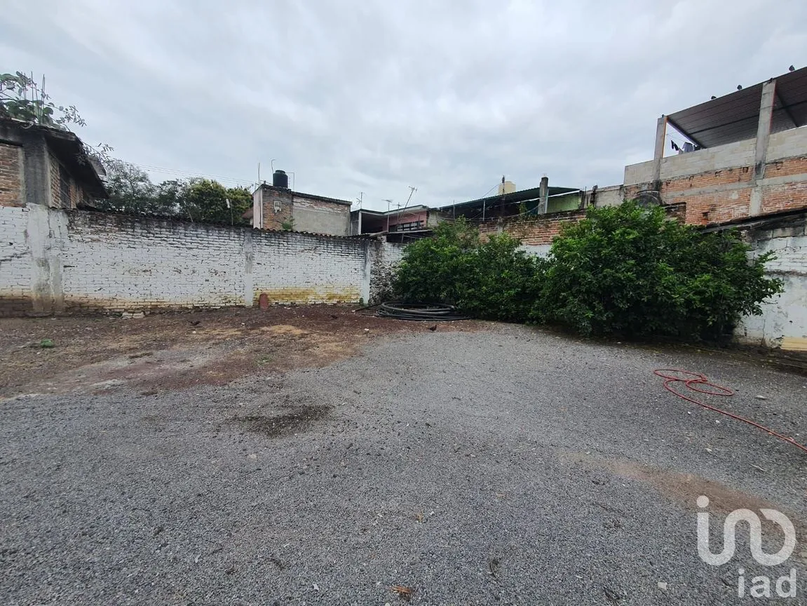 Terreno en Renta en Actopan Centro, Actopan, Veracruz de Ignacio de la Llave | NEX-164445 | iad México | Foto 3 de 5