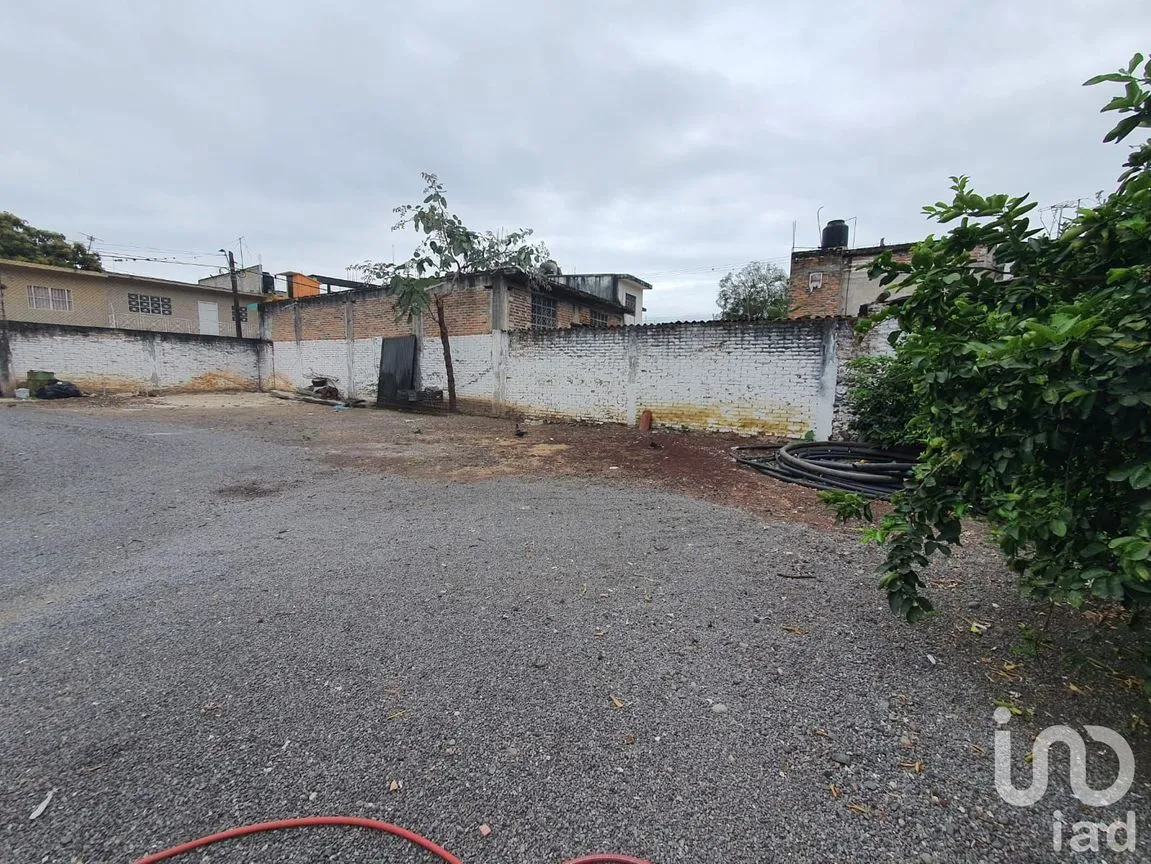 Terreno en Renta en Actopan Centro, Actopan, Veracruz de Ignacio de la Llave | NEX-164445 | iad México | Foto 1 de 5