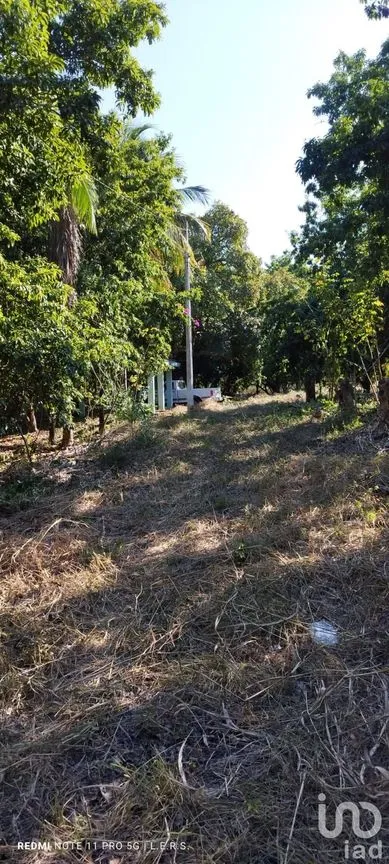 Terreno en Venta en La Bocana, Emiliano Zapata, Veracruz de Ignacio de la Llave | NEX-183300 | iad México | Foto 2 de 21