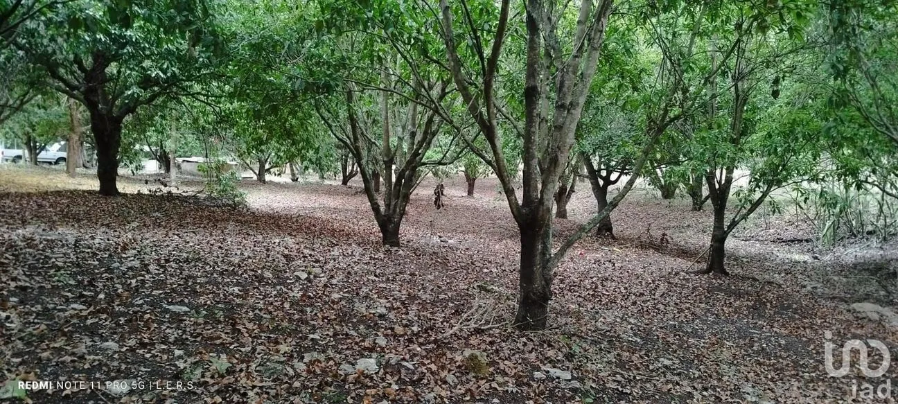 Terreno en Venta en La Bocana, Emiliano Zapata, Veracruz de Ignacio de la Llave | NEX-183300 | iad México | Foto 11 de 21