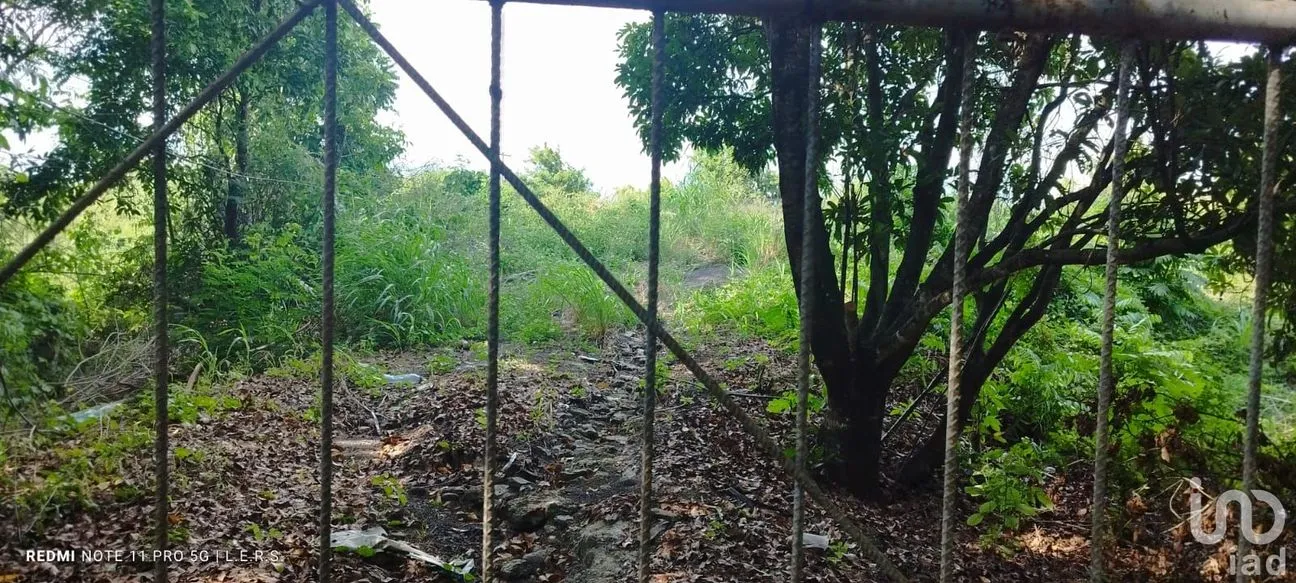 Terreno en Venta en La Bocana, Emiliano Zapata, Veracruz de Ignacio de la Llave | NEX-183300 | iad México | Foto 12 de 21
