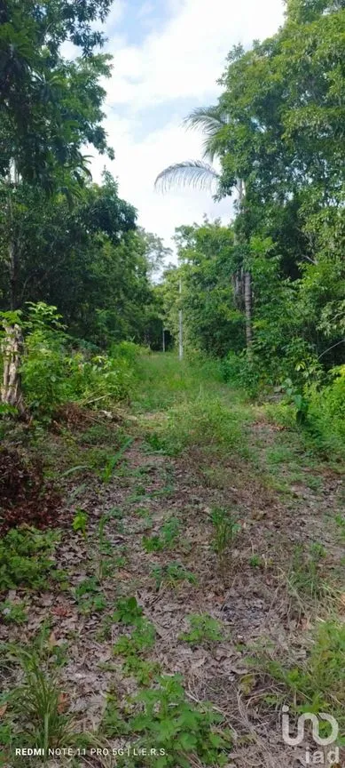Terreno en Venta en La Bocana, Emiliano Zapata, Veracruz de Ignacio de la Llave | NEX-183300 | iad México | Foto 16 de 21