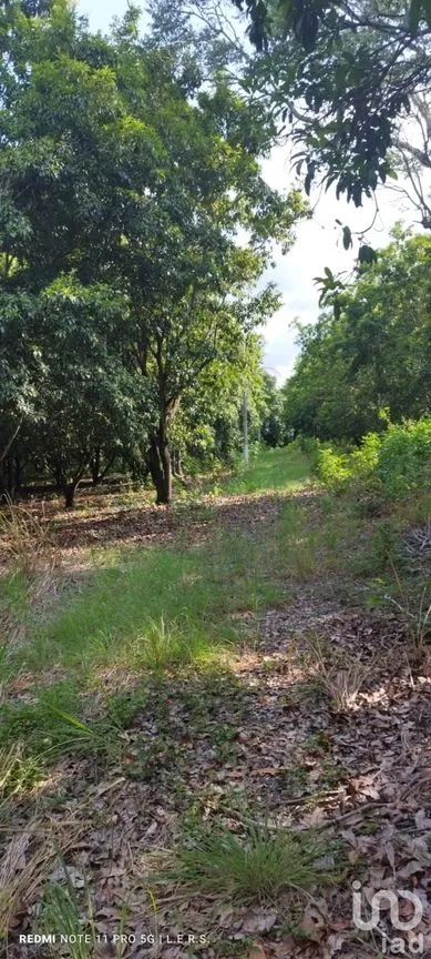 Terreno en Venta en La Bocana, Emiliano Zapata, Veracruz de Ignacio de la Llave | NEX-183300 | iad México | Foto 17 de 21