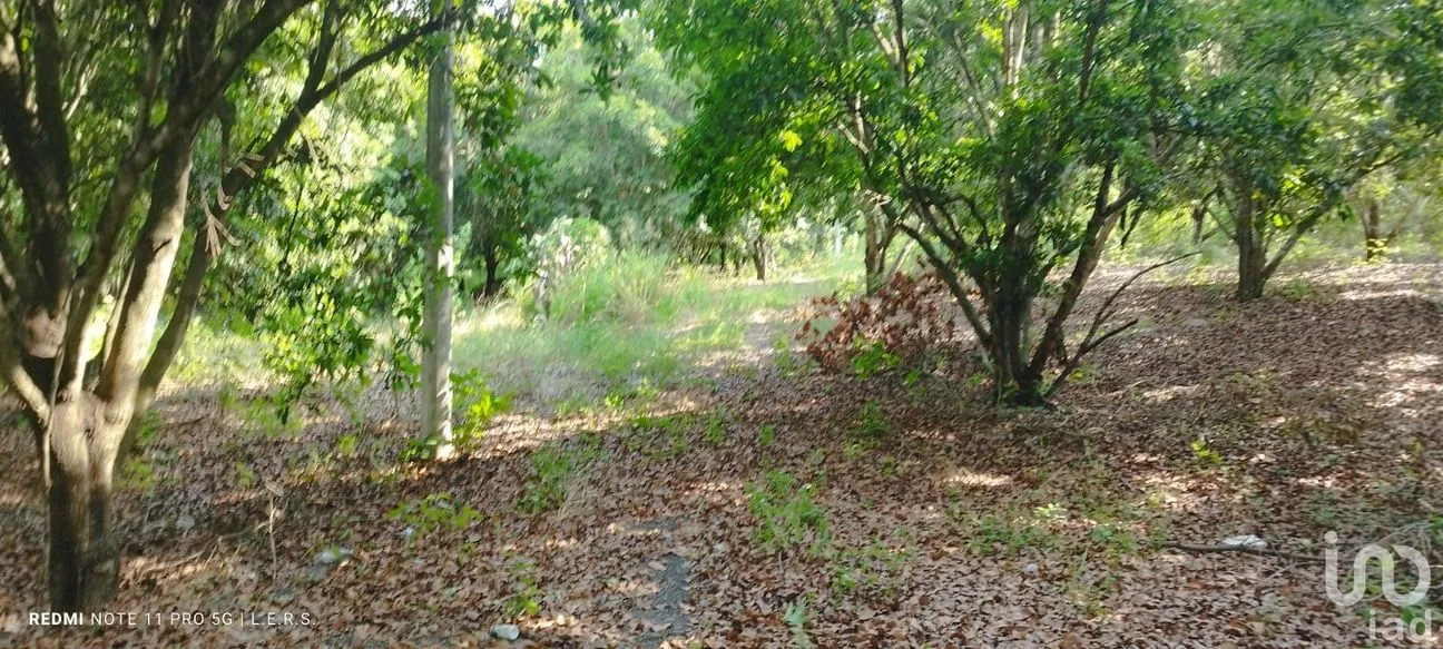 Terreno en Venta en La Bocana, Emiliano Zapata, Veracruz de Ignacio de la Llave | NEX-183300 | iad México | Foto 18 de 21