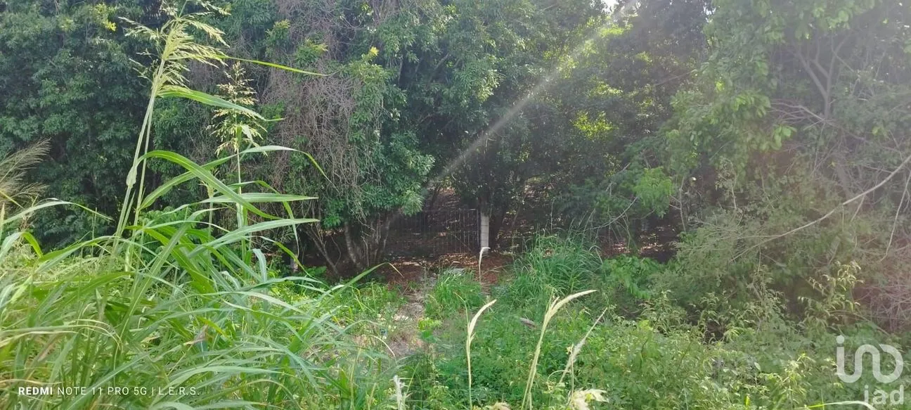 Terreno en Venta en La Bocana, Emiliano Zapata, Veracruz de Ignacio de la Llave | NEX-183300 | iad México | Foto 19 de 21