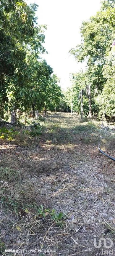 Terreno en Venta en La Bocana, Emiliano Zapata, Veracruz de Ignacio de la Llave | NEX-183300 | iad México | Foto 3 de 21