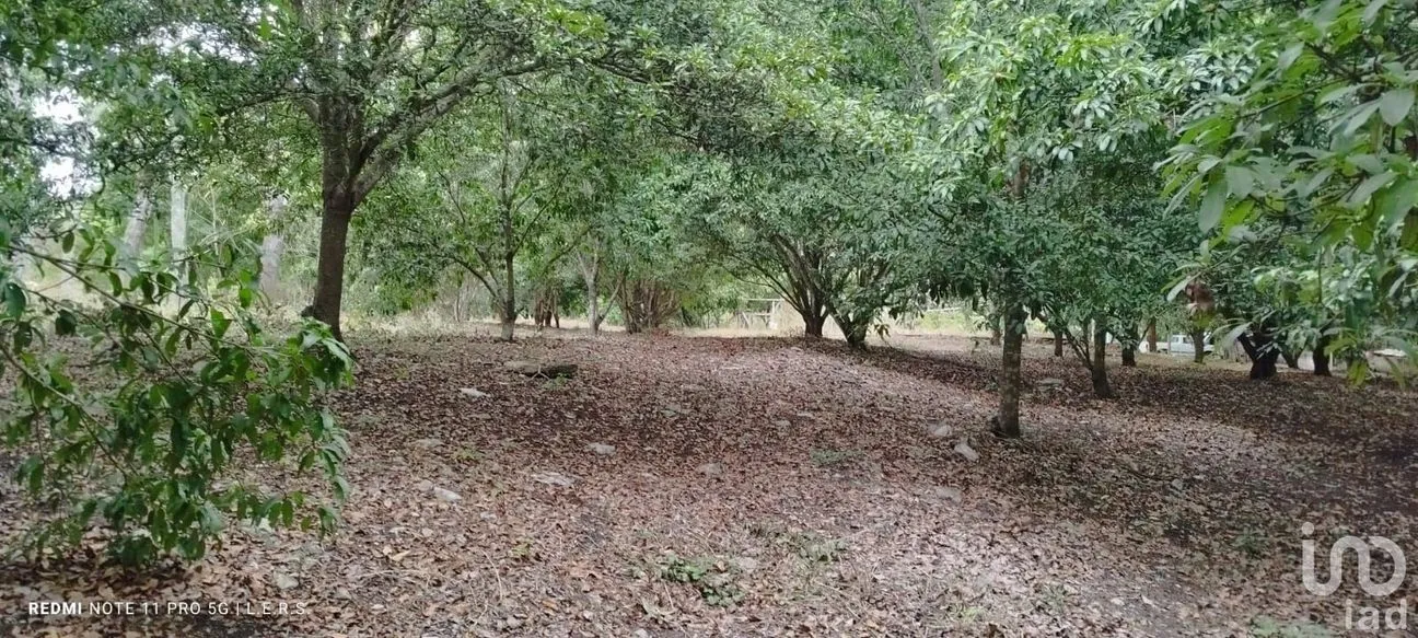 Terreno en Venta en La Bocana, Emiliano Zapata, Veracruz de Ignacio de la Llave | NEX-183300 | iad México | Foto 5 de 21