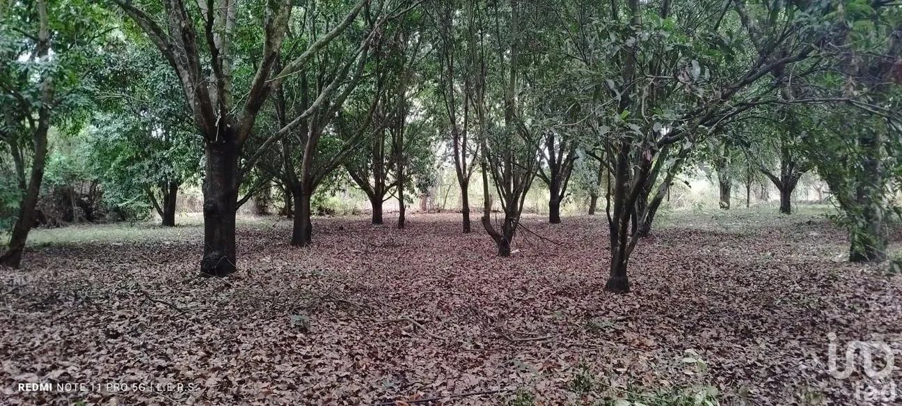 Terreno en Venta en La Bocana, Emiliano Zapata, Veracruz de Ignacio de la Llave | NEX-183300 | iad México | Foto 7 de 21