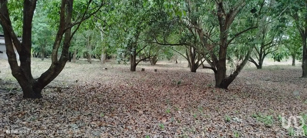 Terreno en Venta en La Bocana, Emiliano Zapata, Veracruz de Ignacio de la Llave | NEX-183300 | iad México | Foto 8 de 21