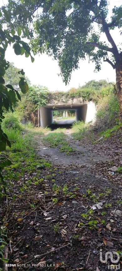Terreno en Venta en La Bocana, Emiliano Zapata, Veracruz de Ignacio de la Llave | NEX-183300 | iad México | Foto 9 de 21