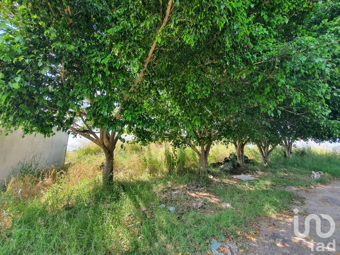 Terreno en Venta en Miradores (Miradores del Mar), Emiliano Zapata, Veracruz de Ignacio de la Llave | NEX-189542 | iad México | Foto 2 de 11