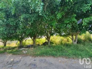 NEX-189542 - Terreno en Venta en Miradores (Miradores del Mar), CP 91640, Veracruz de Ignacio de la Llave.
