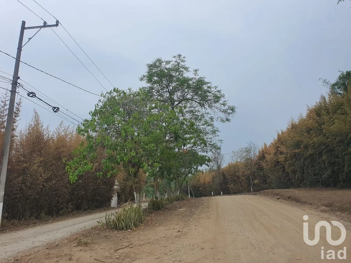 Terreno en Venta en Villa Animas, Xalapa, Veracruz de Ignacio de la Llave | NEX-206576 | iad México | Foto 8 de 10