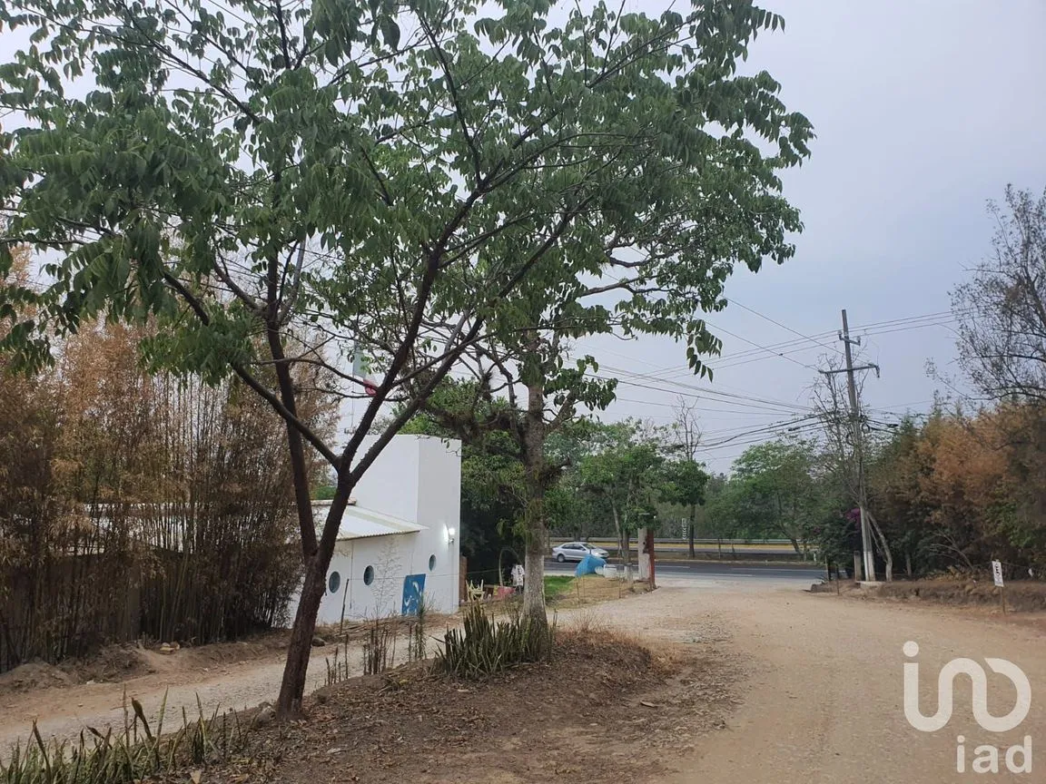 Terreno en Venta en Villa Animas, Xalapa, Veracruz de Ignacio de la Llave | NEX-206576 | iad México | Foto 9 de 10