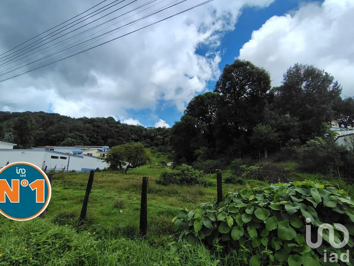 Terreno en Venta en Piletas, Rafael Lucio, Veracruz de Ignacio de la Llave | NEX-221917 | iad México | Foto 2 de 9