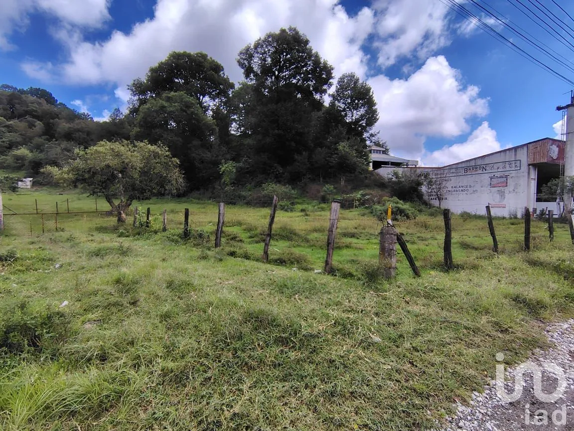 Terreno en Venta en Piletas, Rafael Lucio, Veracruz de Ignacio de la Llave | NEX-221917 | iad México | Foto 5 de 9
