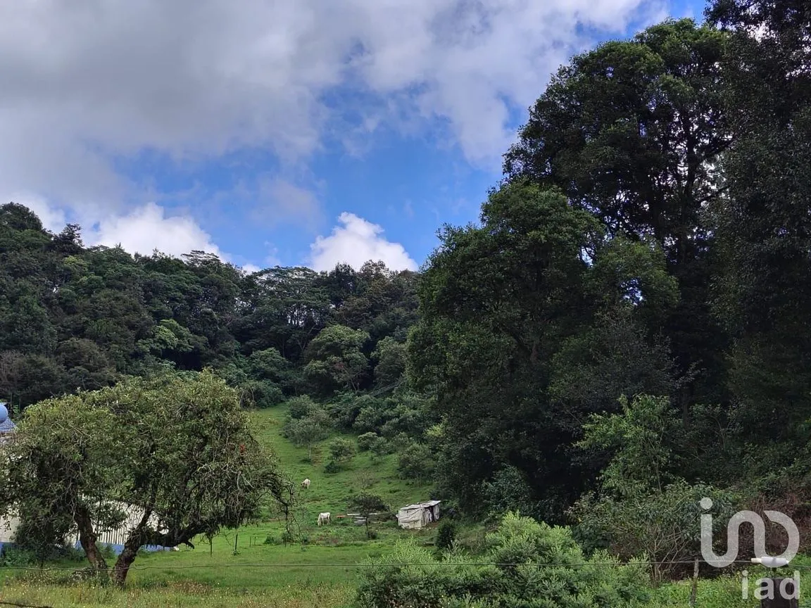 Terreno en Venta en Piletas, Rafael Lucio, Veracruz de Ignacio de la Llave | NEX-221917 | iad México | Foto 6 de 9