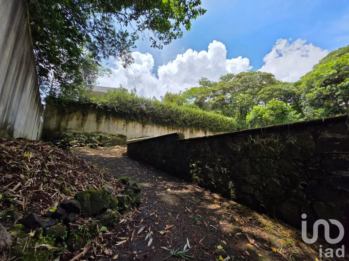 Terreno en Venta en Briones, Coatepec, Veracruz de Ignacio de la Llave | NEX-258040 | iad México | Foto 2 de 9