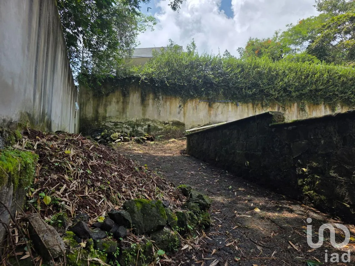 Terreno en Venta en Briones, Coatepec, Veracruz de Ignacio de la Llave | NEX-258040 | iad México | Foto 5 de 9