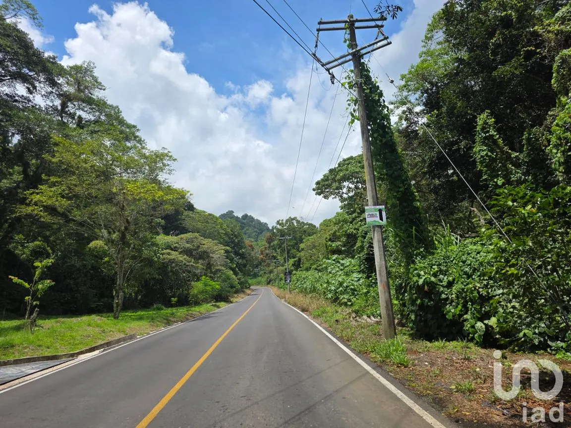 Terreno en Venta en Briones, Coatepec, Veracruz de Ignacio de la Llave | NEX-258040 | iad México | Foto 7 de 9