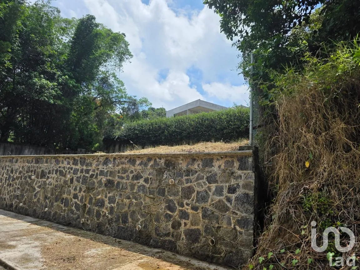 Terreno en Venta en Briones, Coatepec, Veracruz de Ignacio de la Llave | NEX-258040 | iad México | Foto 8 de 9