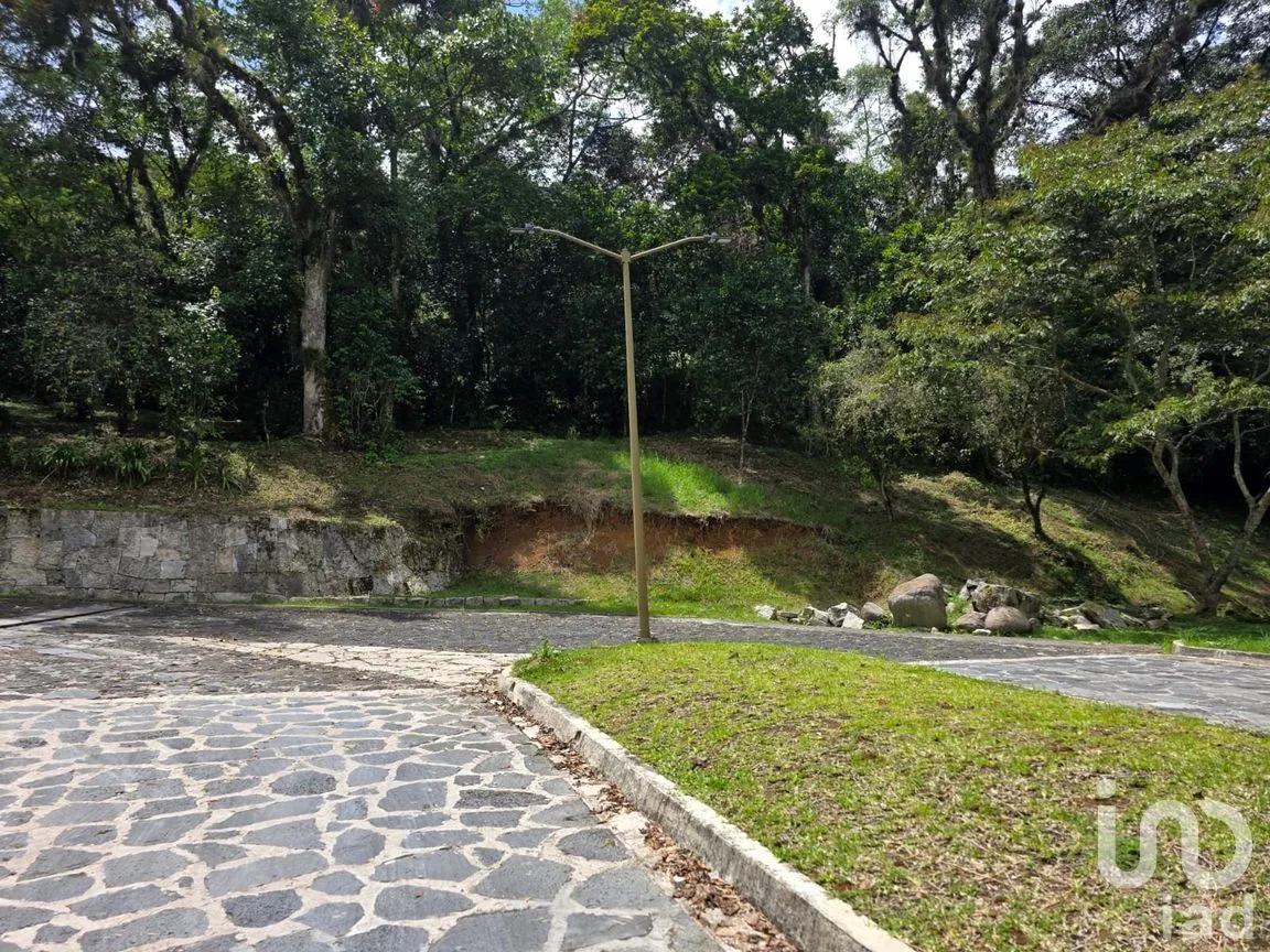Terreno en Venta en Briones, Coatepec, Veracruz de Ignacio de la Llave | NEX-258040 | iad México | Foto 9 de 9