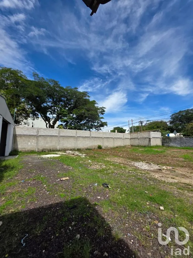 Bodega en Renta en Campo Viejo, Coatepec, Veracruz de Ignacio de la Llave | NEX-259153 | iad México | Foto 12 de 12