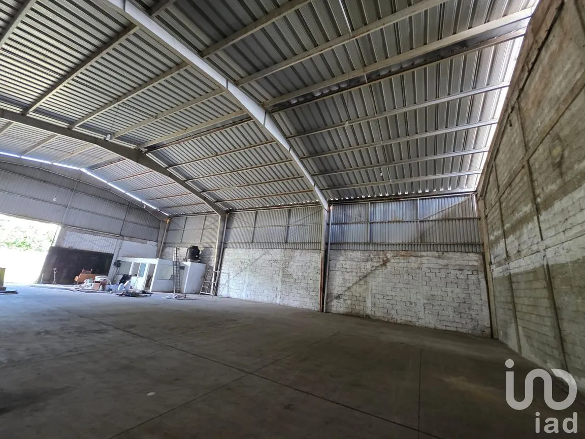 Bodega en Renta en Campo Viejo, Coatepec, Veracruz de Ignacio de la Llave | NEX-259153 | iad México | Foto 4 de 12