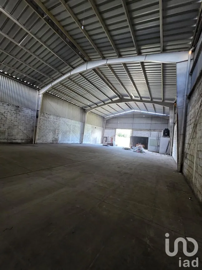 Bodega en Renta en Campo Viejo, Coatepec, Veracruz de Ignacio de la Llave | NEX-259153 | iad México | Foto 5 de 12