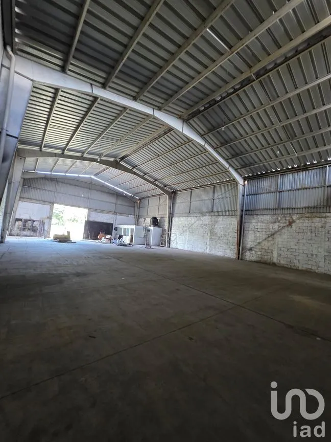 Bodega en Renta en Campo Viejo, Coatepec, Veracruz de Ignacio de la Llave | NEX-259153 | iad México | Foto 6 de 12