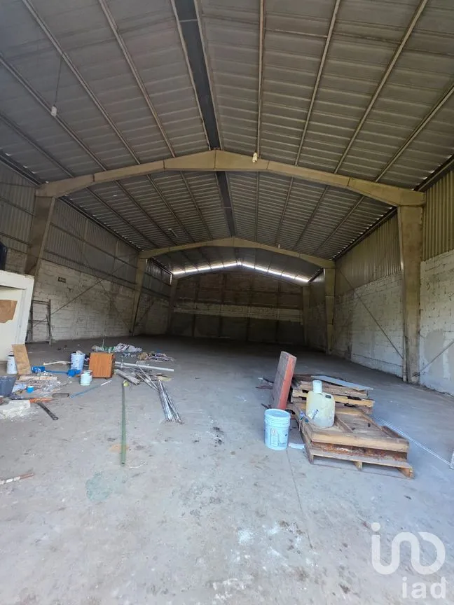 Bodega en Renta en Campo Viejo, Coatepec, Veracruz de Ignacio de la Llave | NEX-259154 | iad México | Foto 3 de 7
