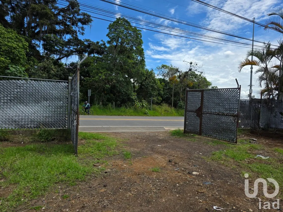 Bodega en Renta en Campo Viejo, Coatepec, Veracruz de Ignacio de la Llave | NEX-259154 | iad México | Foto 4 de 7