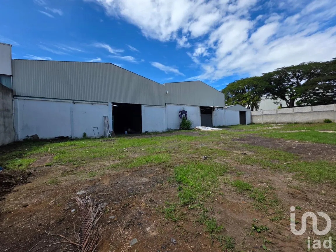 Bodega en Renta en Campo Viejo, Coatepec, Veracruz de Ignacio de la Llave | NEX-259154 | iad México | Foto 5 de 7