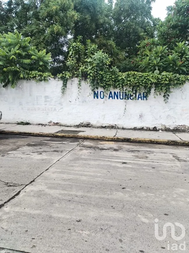 Terreno en Renta en Actopan Centro, Actopan, Veracruz de Ignacio de la Llave | NEX-259172 | iad México | Foto 2 de 9