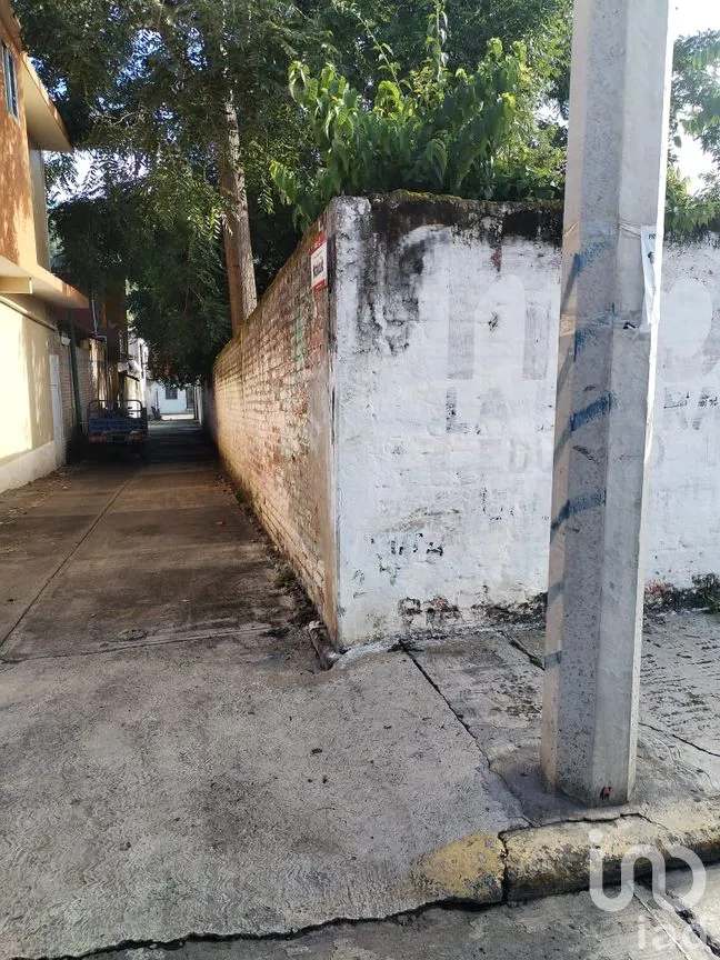 Terreno en Renta en Actopan Centro, Actopan, Veracruz de Ignacio de la Llave | NEX-259172 | iad México | Foto 5 de 9
