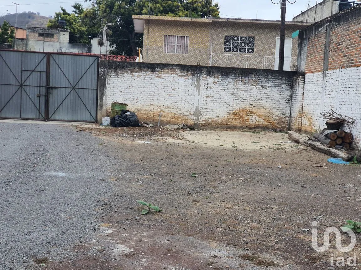 Terreno en Renta en Actopan Centro, Actopan, Veracruz de Ignacio de la Llave | NEX-265240 | iad México | Foto 4 de 7
