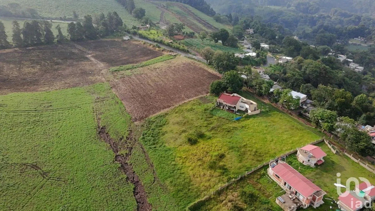 Casa en Venta en Cuauhtémoc, Coatepec, Veracruz de Ignacio de la Llave | NEX-265246 | iad México | Foto 3 de 25