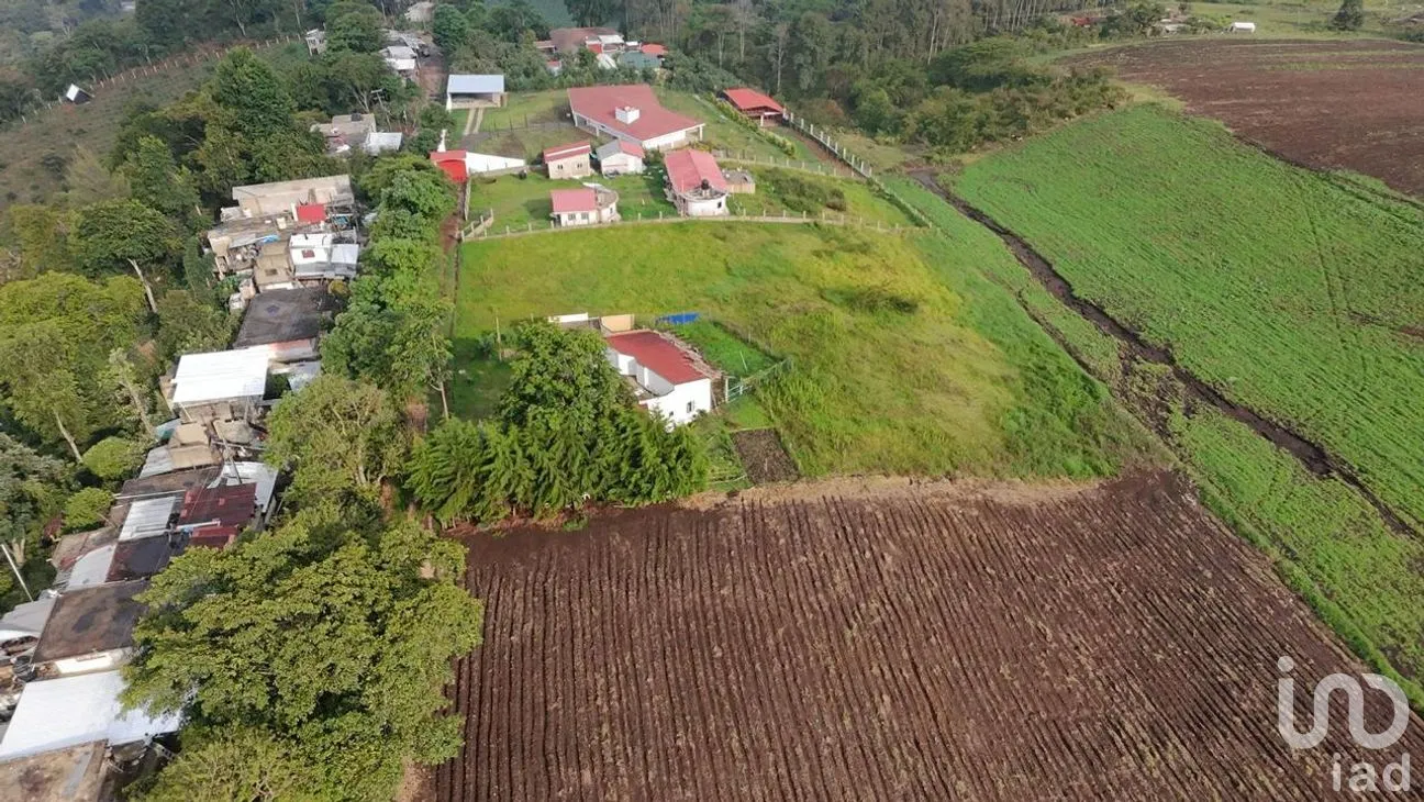 Casa en Venta en Cuauhtémoc, Coatepec, Veracruz de Ignacio de la Llave | NEX-265246 | iad México | Foto 4 de 25