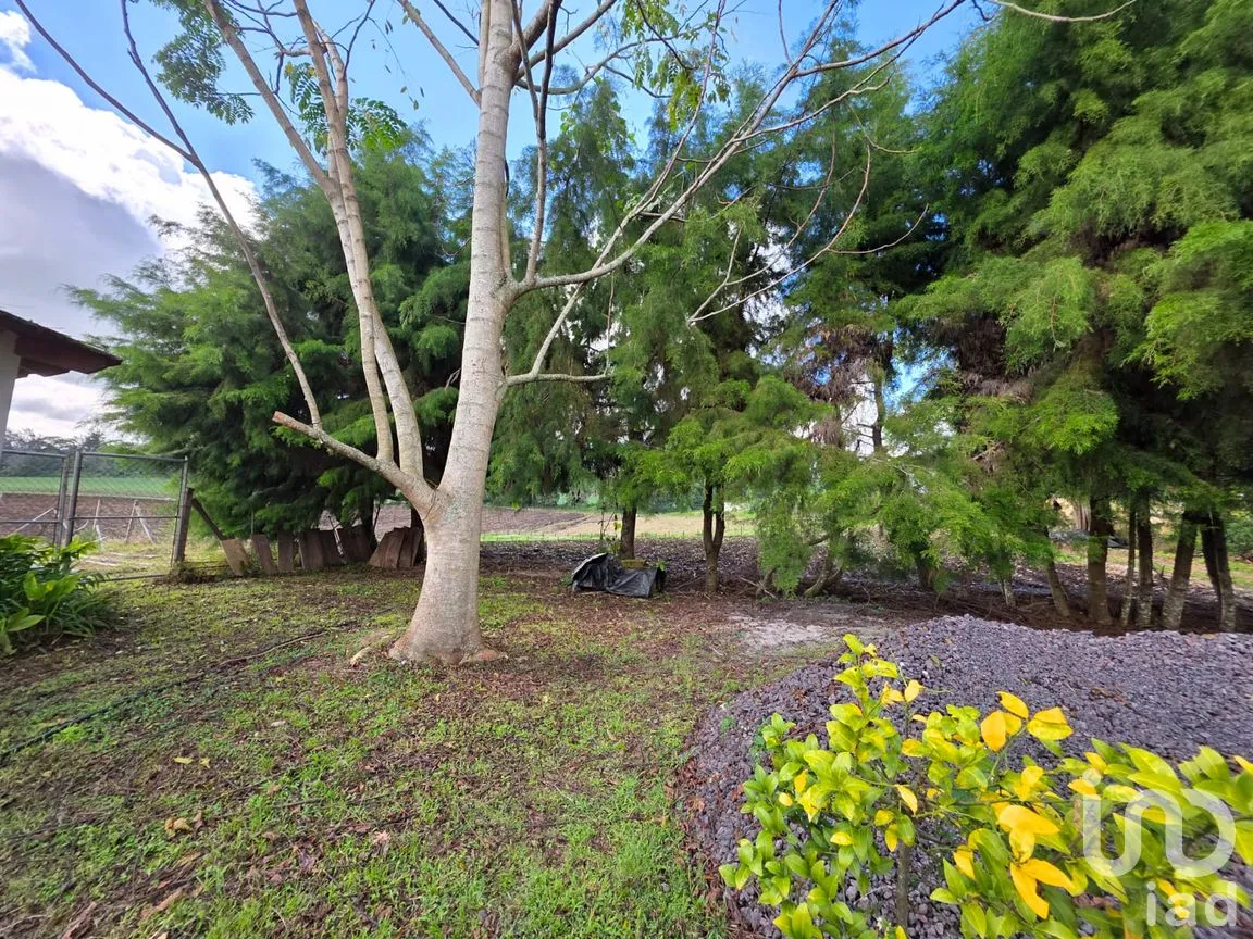 Casa en Venta en Cuauhtémoc, Coatepec, Veracruz de Ignacio de la Llave | NEX-265246 | iad México | Foto 10 de 25