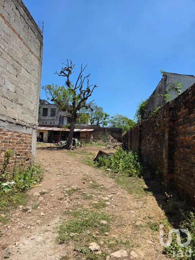 Terreno en Venta en Xico, Xico, Veracruz de Ignacio de la Llave | NEX-290824 | iad México | Foto 8 de 9