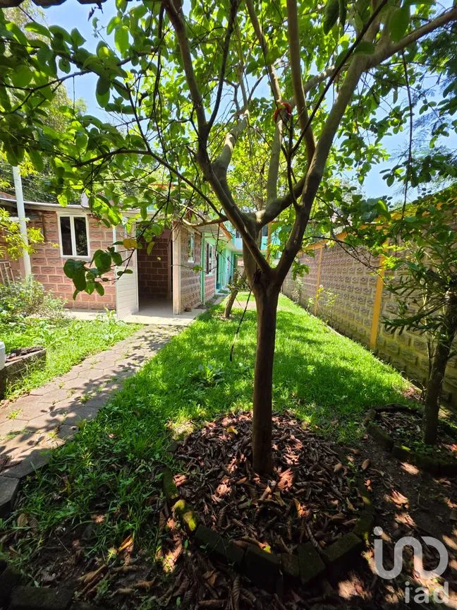 Casa en Venta en La Pitaya, Coatepec, Veracruz de Ignacio de la Llave | NEX-299263 | iad México | Foto 7 de 28